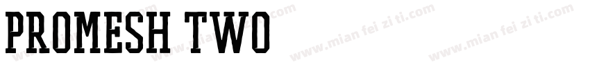 PROMESH Two字体转换